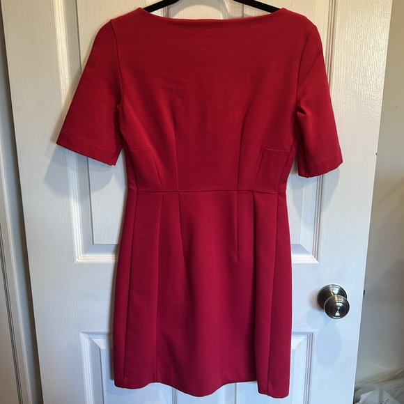 Gorgeous Zara Pink Dress - Picture 3 of 3